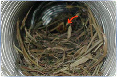 Nest inside duct