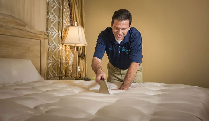 A technician is cleaning a mattress.