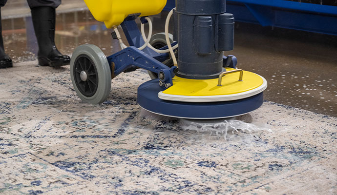 A technician is cleaning an area rug.