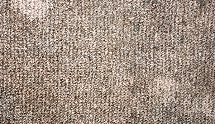 Acid-based stain on carpet