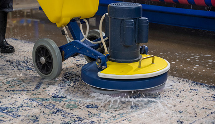 Area rug cleaning service