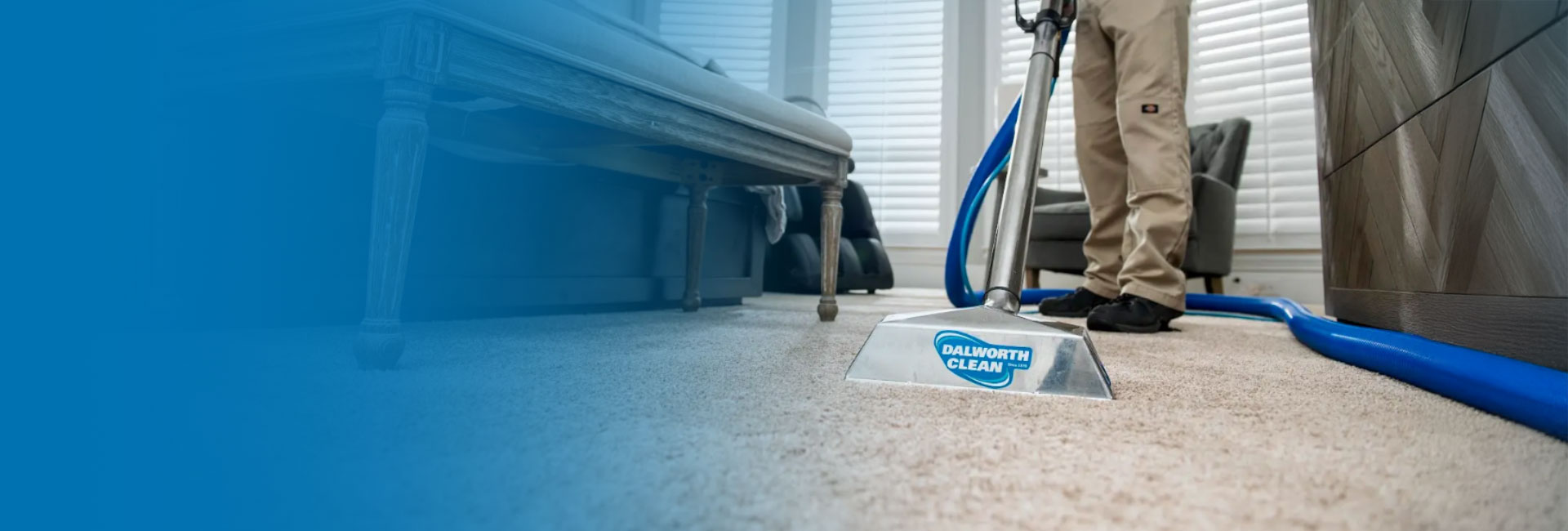 Professional carpet Cleaning Service
