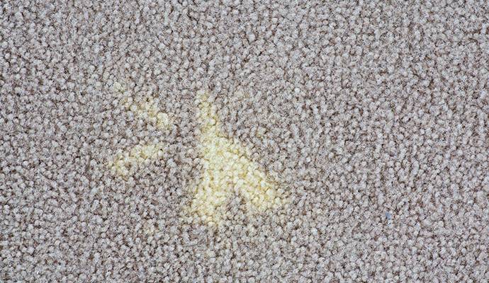 Bleach stain on carpet