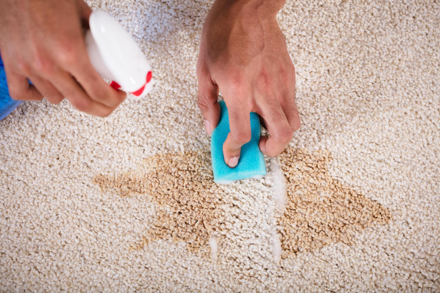 carpet cleaning
