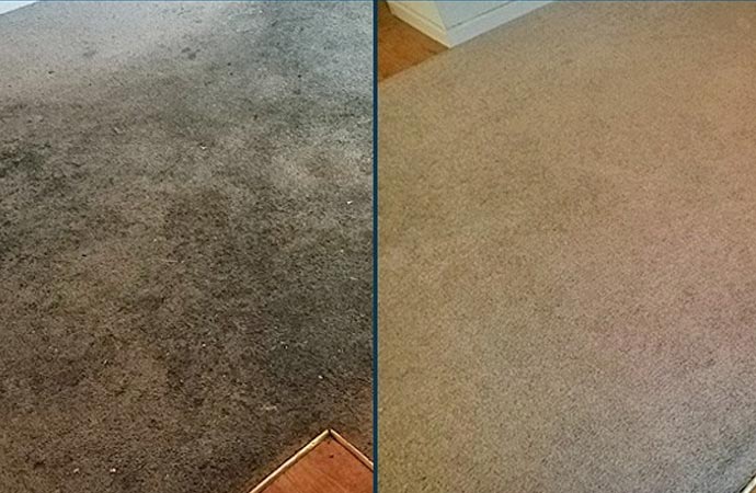 Colleges & Universities Carpet Cleaning