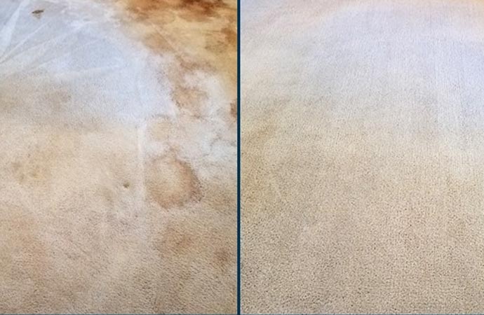 Carpet Cleaning Methods We Use in DFW Medicals