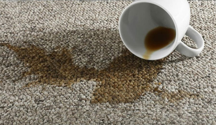 Carpet Stain Removal