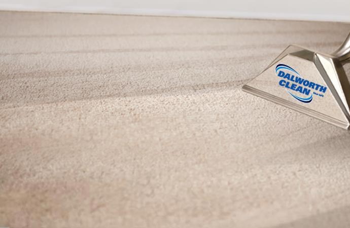 Carpet Cleaning Services We Provide to DFW Business