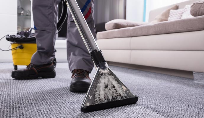 Professional worker vacuum cleaning carpet