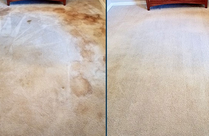 Carpet Cleaning Services for Churches in DFW Area