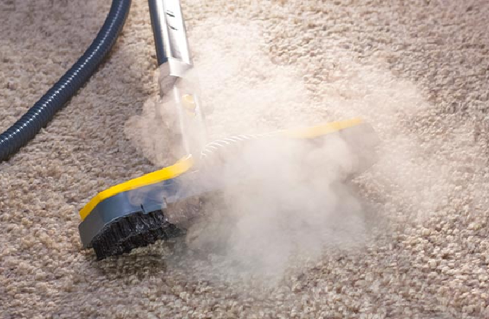 hot water extraction carpet cleaning
