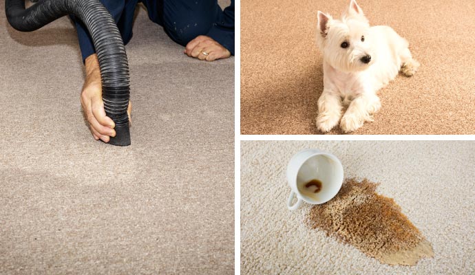 Collage of carpet maintenance, pet and coffee stain