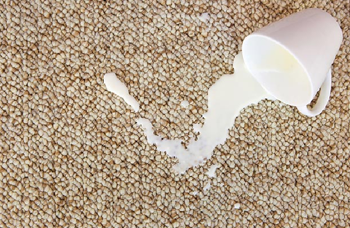 Milk dropped on the carpet