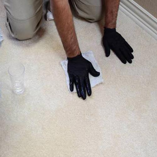 Dalworth Carpet Cleaning Services in Dallas/Fort Worth