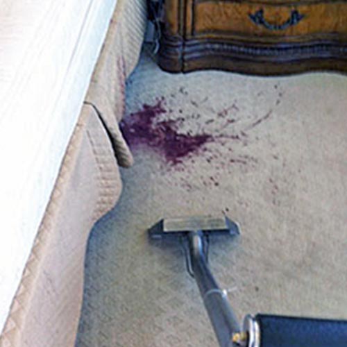 Dalworth Carpet Cleaning Services in Dallas/Fort Worth