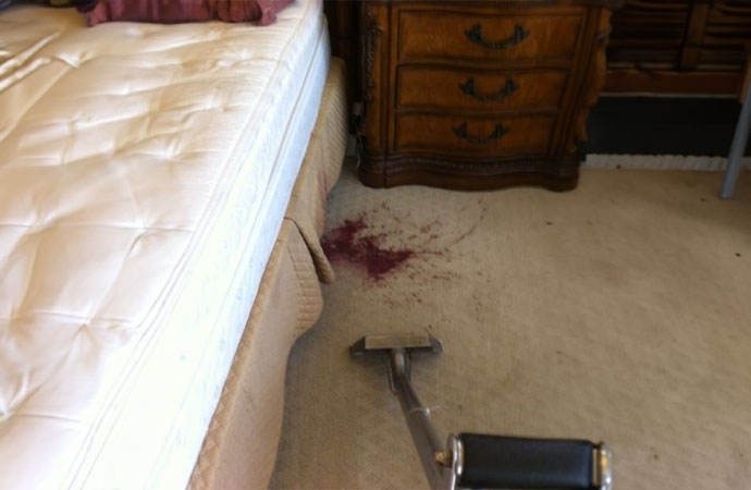 Carpet stain removal equipment
