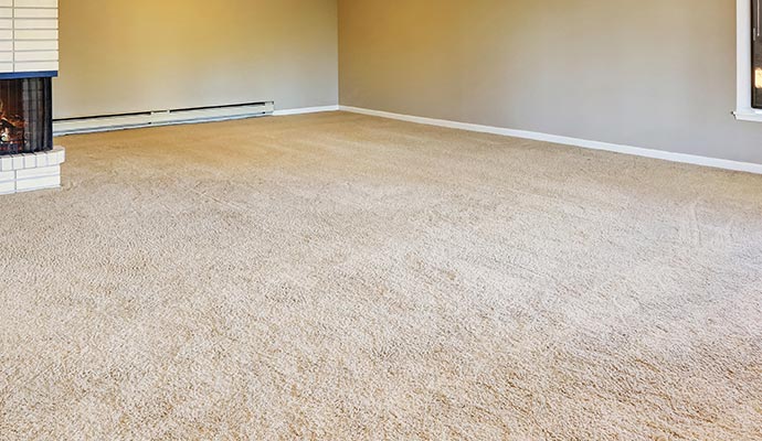 Carpeted interior