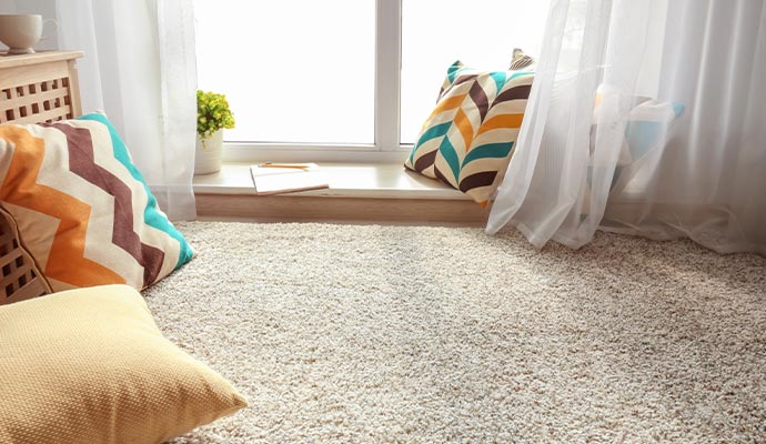 Clean, light-colored plush carpet in a sunny living area with decorative pillows