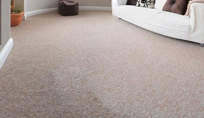 Clean carpet on living room