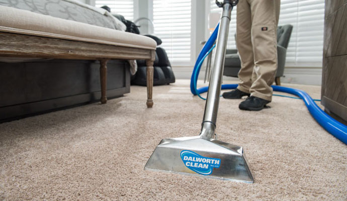 Dalworth guy cleaning carpet professionally