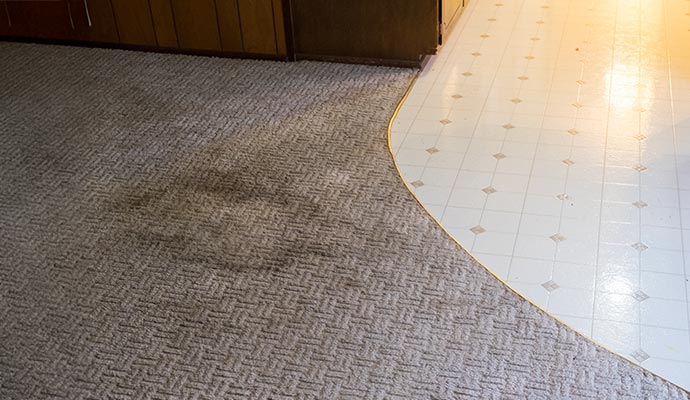 Dark moisture stain on a carpet near a tiled floor.
