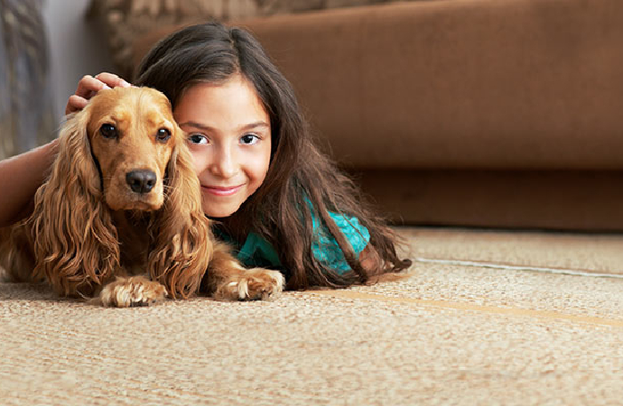 Treatment to Remove Pet Allergens from Carpets in DFW