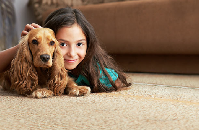 pet in carpet