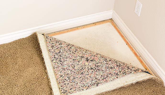 Lifted carpet
