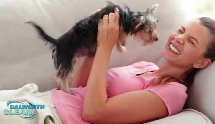 Pet Odor Removal Thumb Image