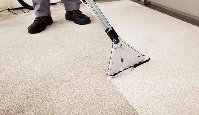 Professional carpet cleaning service