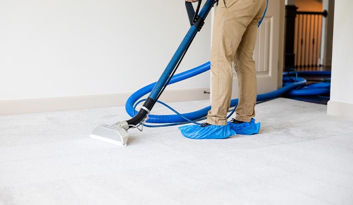 Professional carpet cleaning with industrial vacuum.