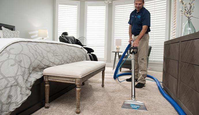 Professional carpet dry cleaning