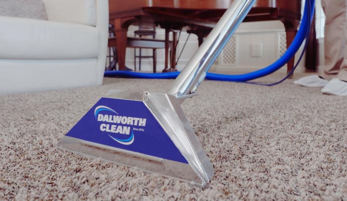 Professional cleaning carpet
