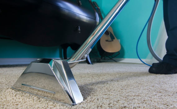Professional worker cleaning carpet