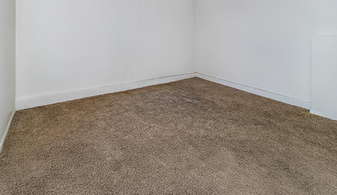 Empty room with a clean brown carpet showing proper maintenance.