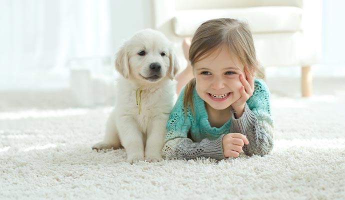Pet Odor Removal from Carpet in Dallas-Fort Worth