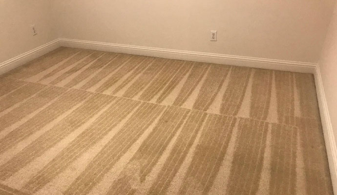 The Ultimate Guide to Cleaning Your Carpet Yourself