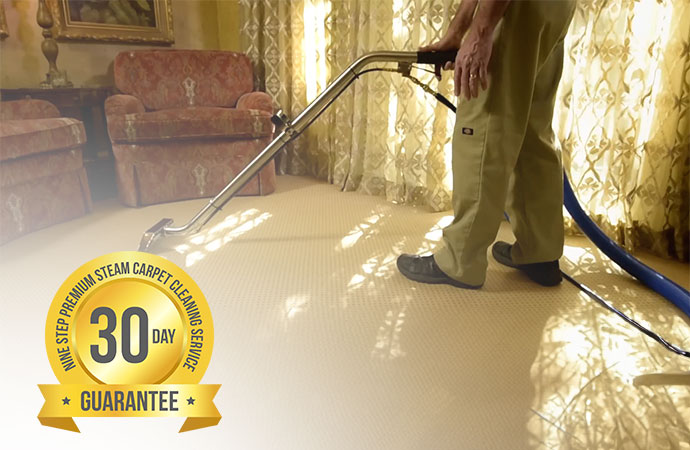 Carpet Cleaning Process