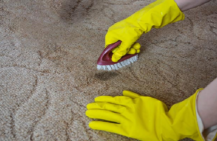 Professional carpet cleaning service