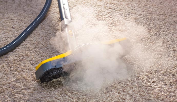hot water extraction carpet cleaning