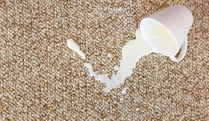Milk dropped on the carpet