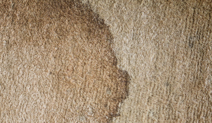 Carpet with a dry acid stain
