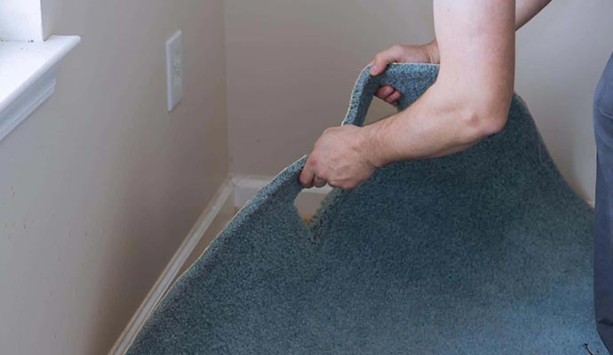 Carpet Repair Service