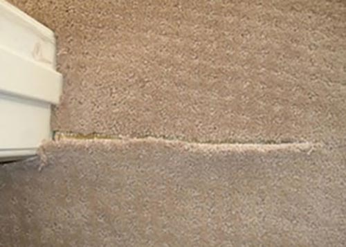 Carpet Seam Repair