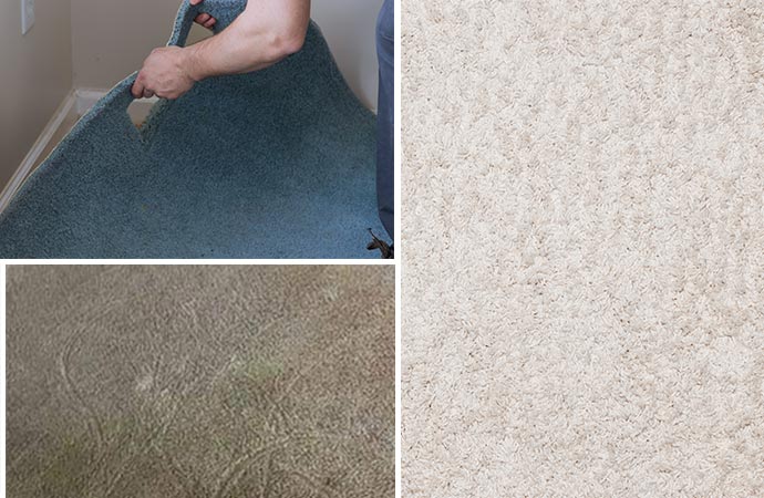 Carpet Transition Strips Repair in Dallas/Fort Worth