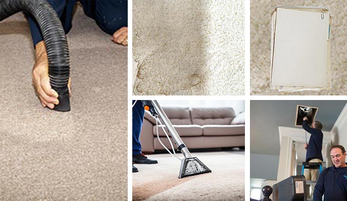 water damaged carpet repair in Dallas