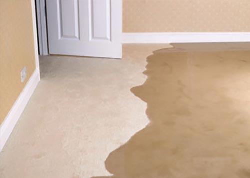 Water on Carpet