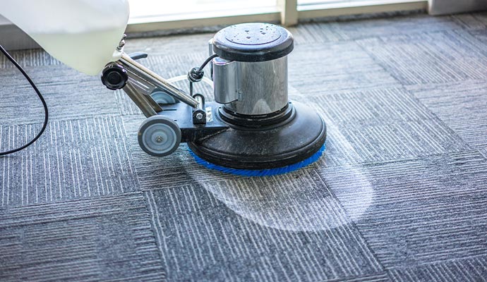 carpet shampoo cleaning