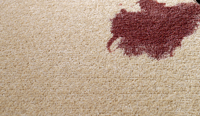 Carpet soiled with red wine