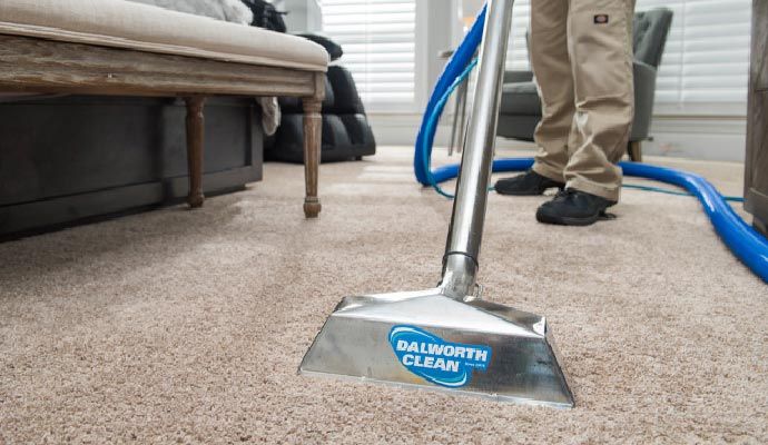 Carpet dry cleaning service